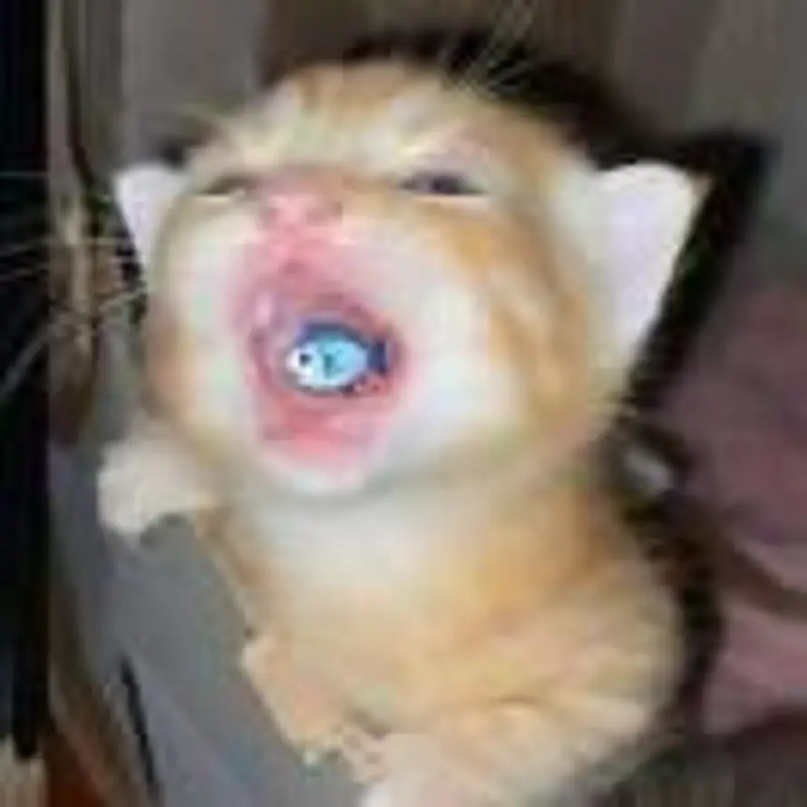 🖕🏻- 。-🖕🏻的头像