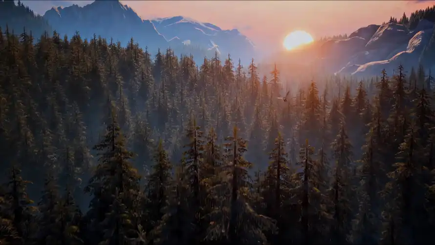 4k山脉壁纸 - 日出 - 松树 - 森林「哲风壁纸」 4k山脉壁纸 - 日出 - 松树 - 森林「哲风壁纸」