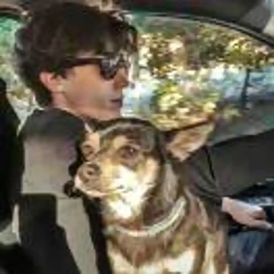 百变马丁的头像