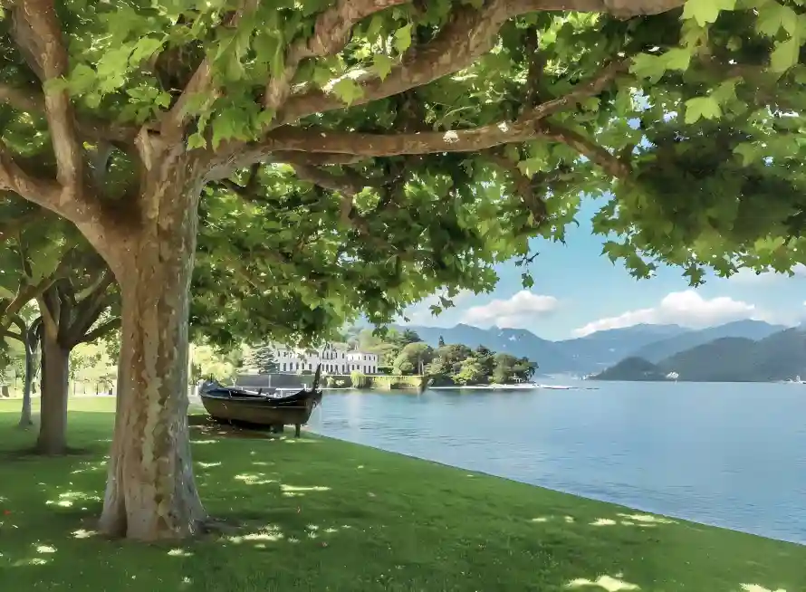 4k帆船壁纸 - 树木 - 树阴 - 湖泊「哲风壁纸」 4k帆船壁纸 - 树木 - 树阴 - 湖泊「哲风壁纸」