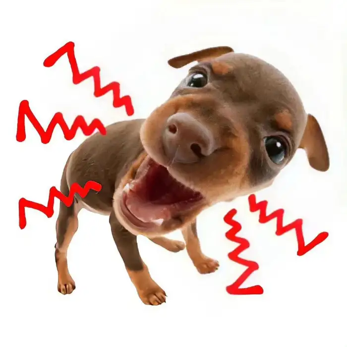 用户贝才来的头像