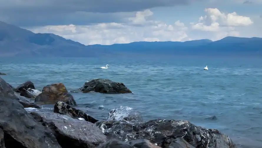 4k天空壁纸 - 天鹅 - 山脉 - 海浪「哲风壁纸」