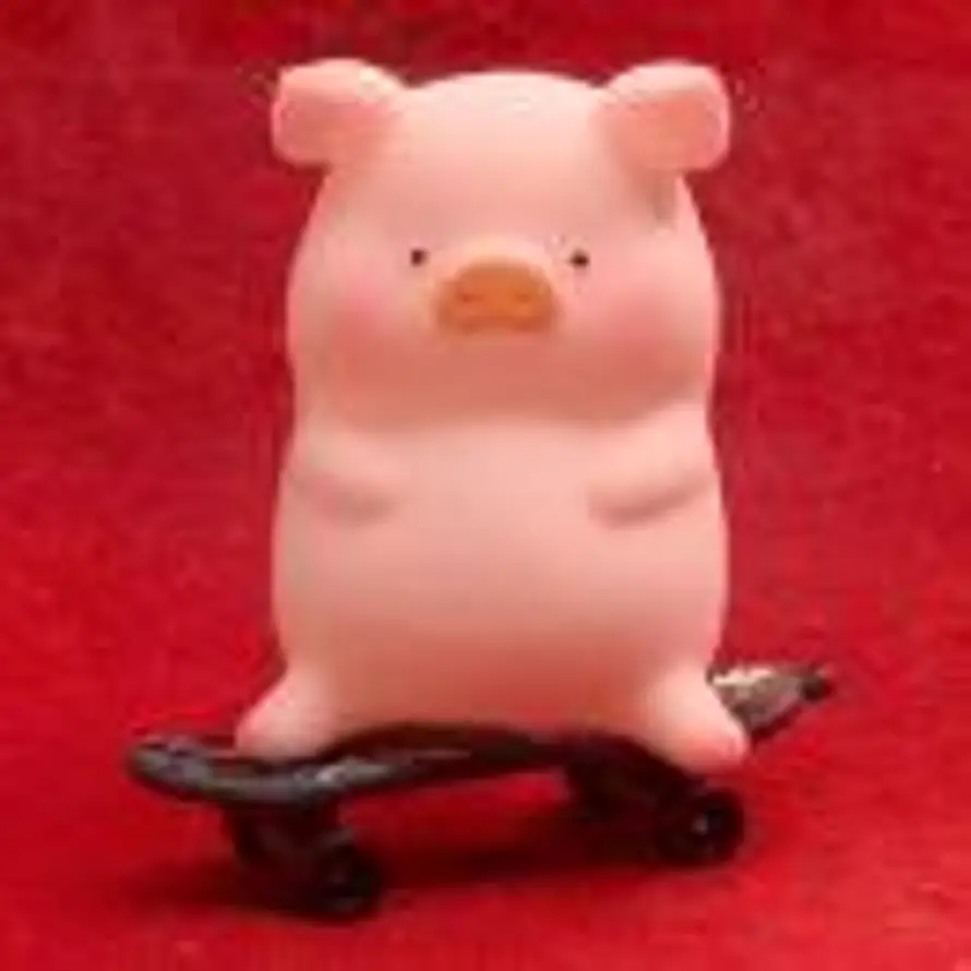 福气啵啵的头像