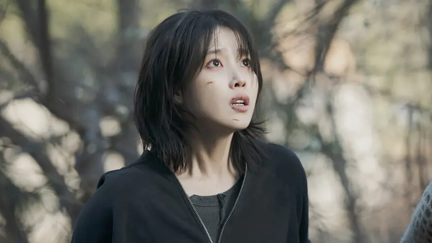 4kIU壁纸 - 户外 - 树林 - 短发「哲风壁纸」 4kIU壁纸 - 户外 - 树林 - 短发「哲风壁纸」