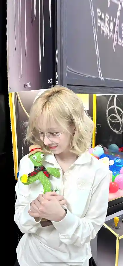 4k爱豆壁纸 - 玩偶 - 仙人掌 - 金玟庭「哲风壁纸」