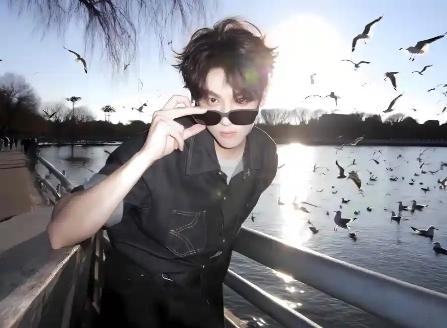 2k墨镜壁纸-田栩宁 - 飞鸟-热门的壁纸「哲风壁纸」