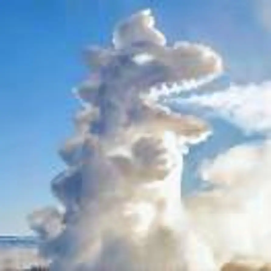 ㅤㅤㅤㅤ的头像