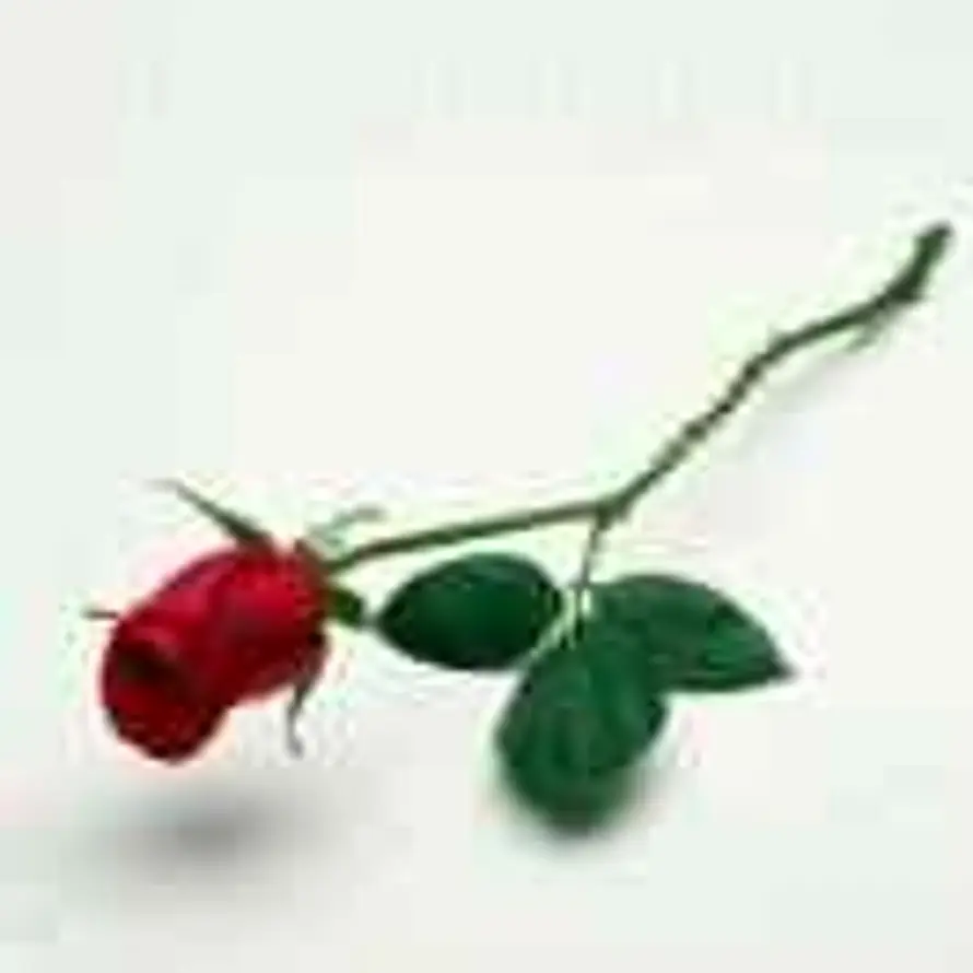 相忘江湖的头像