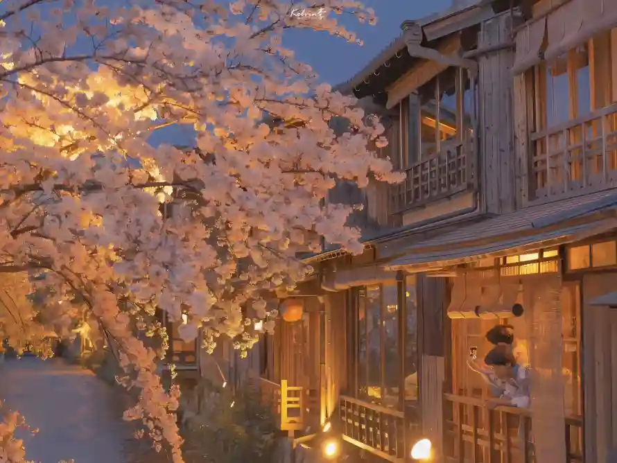 4k夜景壁纸 - 暖光 - 朦胧 - 樱花「哲风壁纸」 4k夜景壁纸 - 暖光 - 朦胧 - 樱花「哲风壁纸」