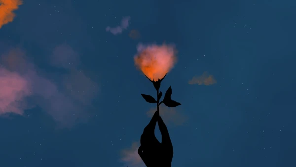 Favorite Image