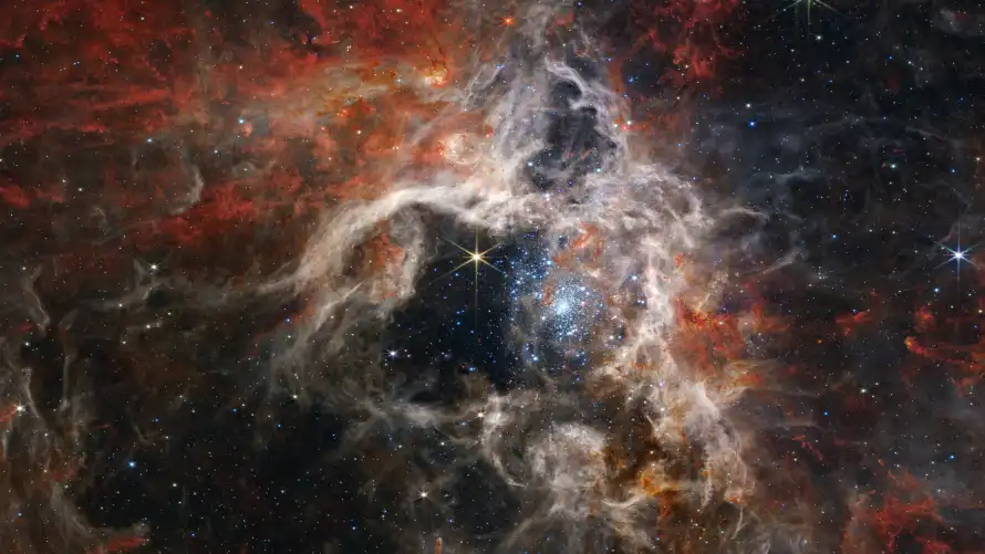 4k星云壁纸-望远镜和星星-狼蛛星云壁纸分享「哲风壁纸」