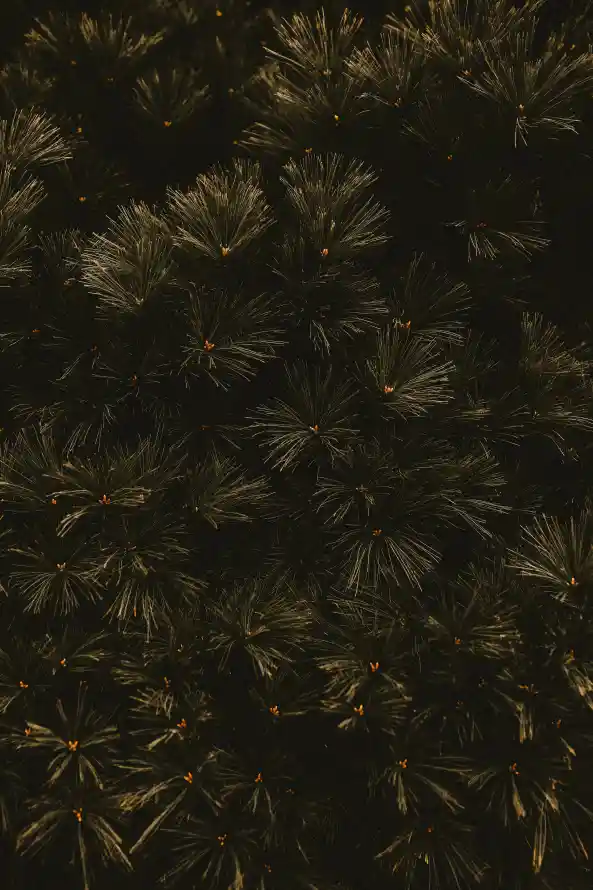 4k假日壁纸 - 午夜 - 天空 - 工厂「哲风壁纸」