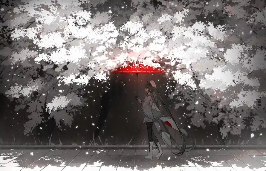 Favorite Image