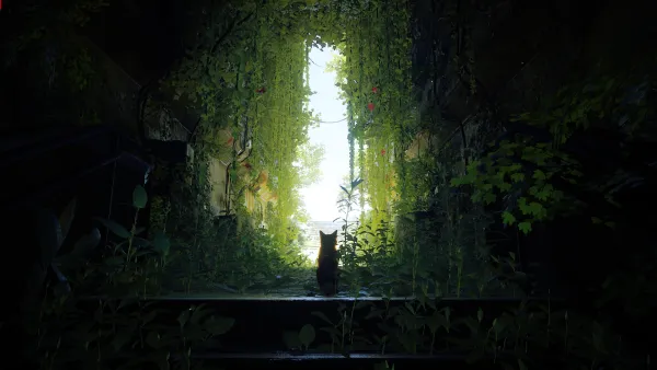 2k动物壁纸-未来派的 - 猫-猫科动物壁纸分享「哲风壁纸」