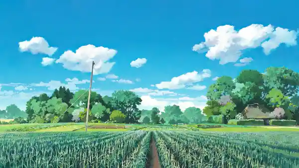 Favorite Image