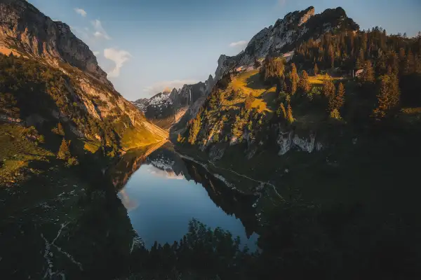 Favorite Image