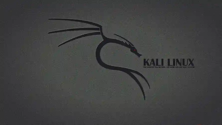 2k壁纸-kali壁纸和Linux-热门的壁纸「哲风壁纸」