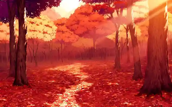 Favorite Image