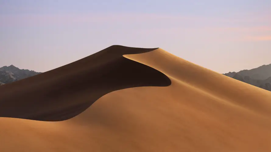 Favorite Image