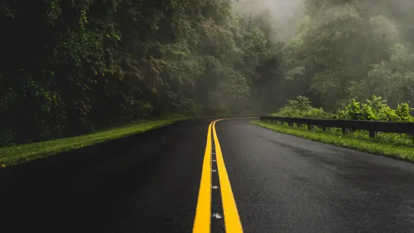 2k景观壁纸-湿滑的道路与森林-植物免费下载「哲风壁纸」