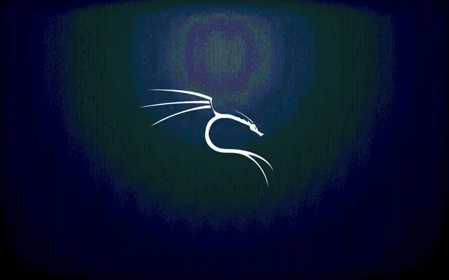 3k壁纸-kali与Linux-壁纸推荐「哲风壁纸」