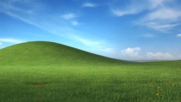 Favorite Image