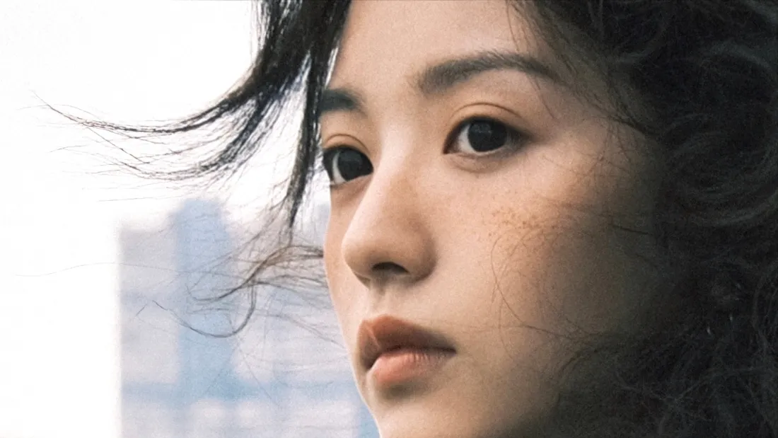 3k女明星星眼壁纸-田曦微壁纸 - 美图合集「哲风壁纸」