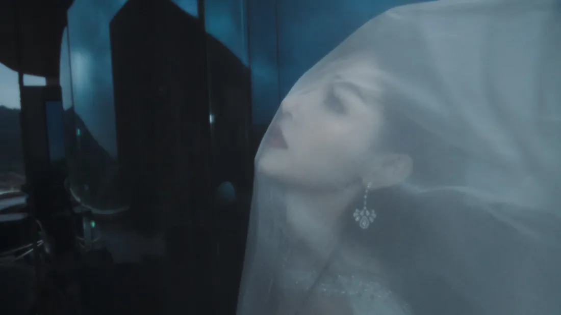 5k女明星壁纸 - 张天爱壁纸「哲风壁纸」