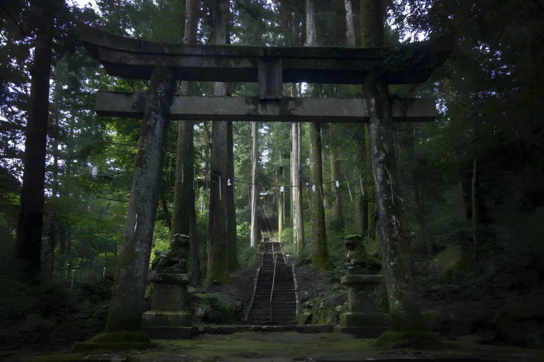 3k幽谧风日本神社背景图片 - 静谧森景「哲风壁纸」