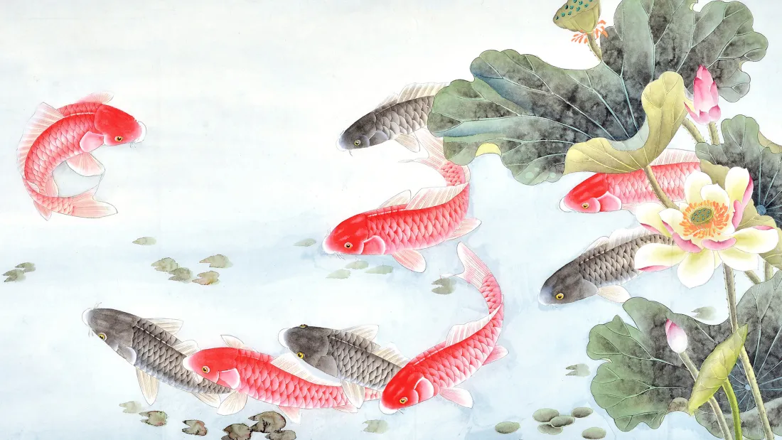 4k国画莲花壁纸｜鲤鱼背景图片 - 中式雅韵「哲风壁纸」
