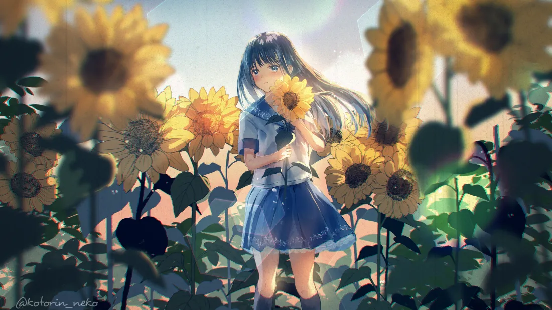 4k蓝制服少女向日葵壁纸｜阳光花田背景图片 - 二次元「哲风壁纸」
