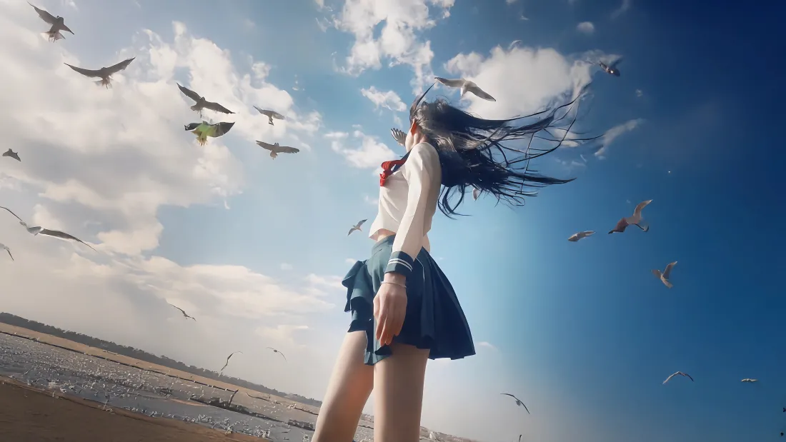 4k《jk少女壁纸》｜沙滩海鸥背景图片 - 4K「哲风壁纸」