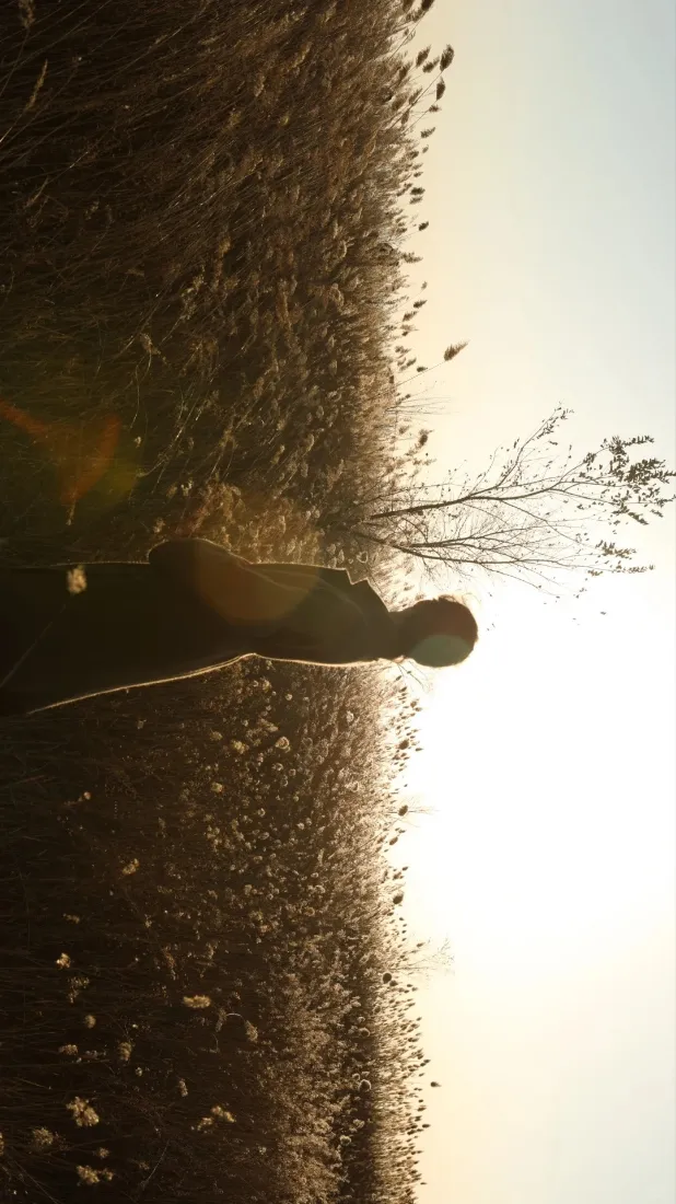 黄昏剪影手机壁纸｜田野背景图片 - 氛围感「哲风壁纸」