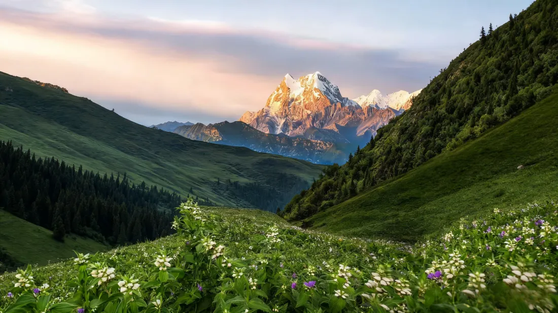 3k日照金山壁纸｜山谷野花背景 - 山川美景「哲风壁纸」