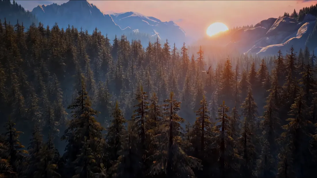 4k森林日出壁纸｜山脉松林背景 - 风景「哲风壁纸」
