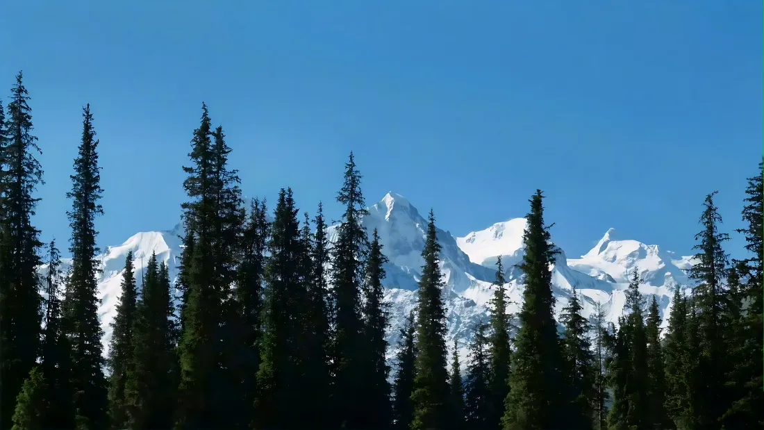 4k雪山森林壁纸｜蓝天风景图片 - 自然氛围感「哲风壁纸」